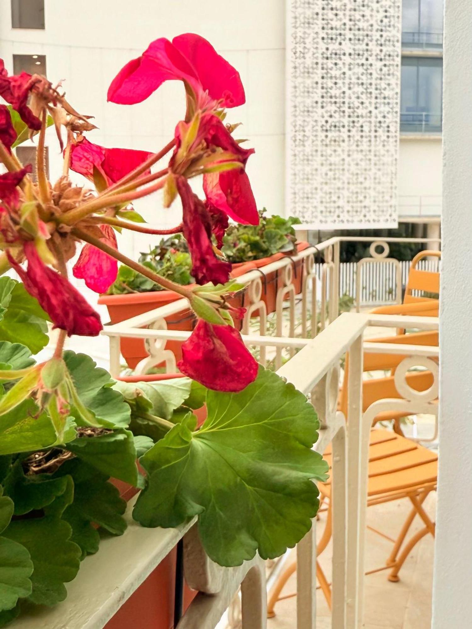 Ikigai Leisure Properties Εστεπόνα Εξωτερικό φωτογραφία